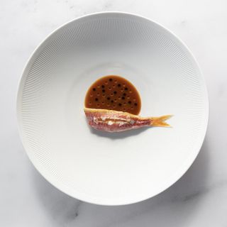 Saporium Firenze - 6