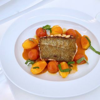 Olivomare - 4