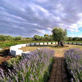 Antichi Sapori - Montegrosso - 5