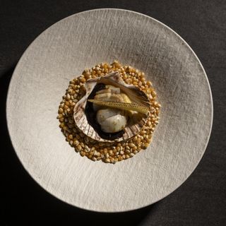 Tetsu - Madrid - 0