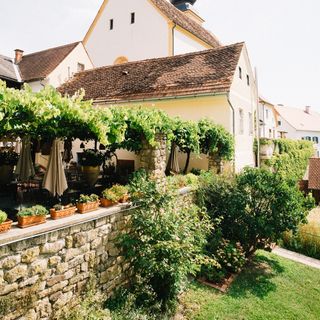 Geschwister Rauch - Restaurant - 4