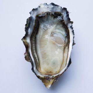 Fanny Bay Oyster Bar - 20