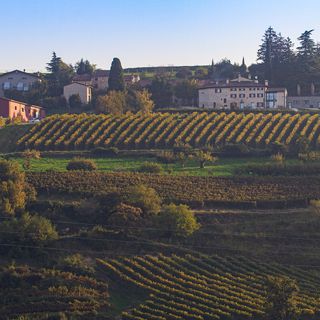 La Collina dei Ciliegi - 1