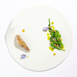 Imàgo - 14