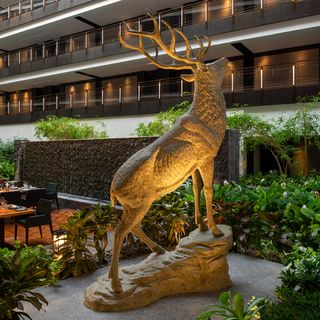 Hunters Room & Grill - 2