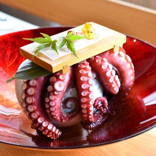 Octopus Garden - 0