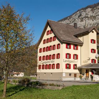Adler - 1
