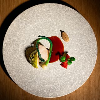 Troubadour - 8