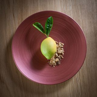 Ambroisie - 5