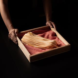 INITA - 6