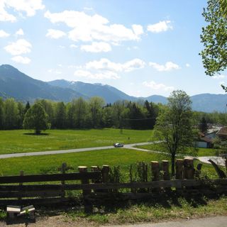 Schweizer Wirt - 4