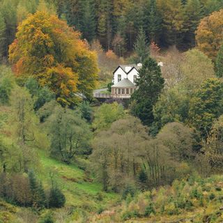 The Cottage in the Wood - 1