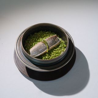 Bicena - 6
