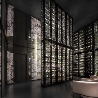 Private Collection · See Joy - 6