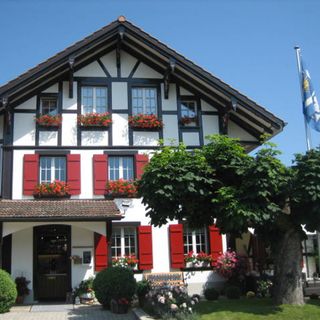 Hardern Pintli - 4