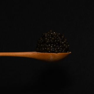 Pizarro Fine Dining - 1