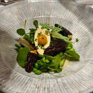 Delicja - Poznan - 2