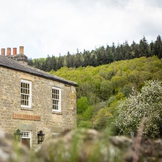 The Abbey Inn - 1