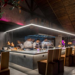 The Monkey Gallery Dining - 1