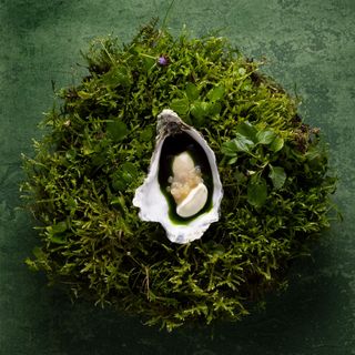 RAU nature-based cuisine - 16