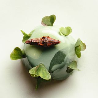 Cultivo - 4