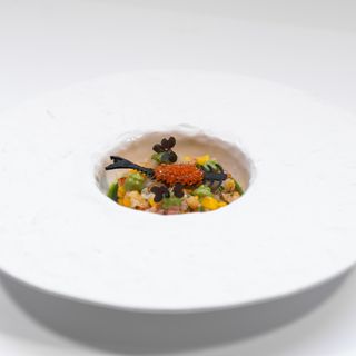 Sublima - 1
